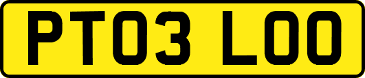 PT03LOO
