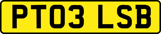 PT03LSB