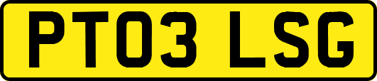 PT03LSG