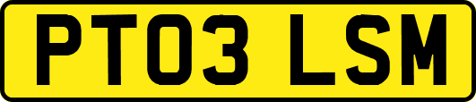 PT03LSM