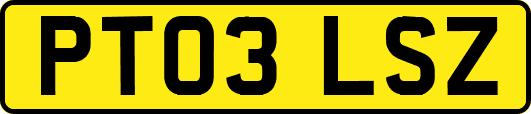 PT03LSZ