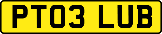 PT03LUB