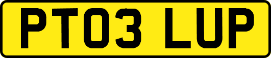 PT03LUP
