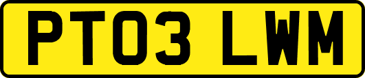 PT03LWM