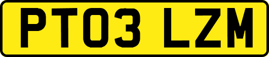 PT03LZM