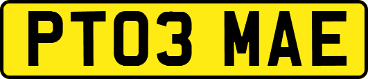 PT03MAE