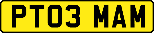 PT03MAM