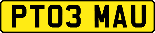 PT03MAU