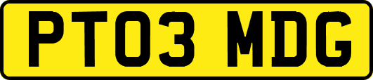 PT03MDG