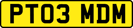 PT03MDM