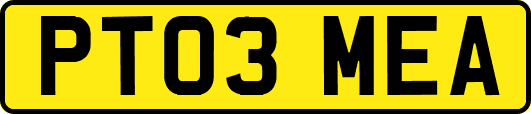 PT03MEA