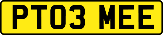 PT03MEE