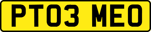 PT03MEO