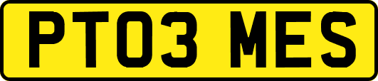 PT03MES