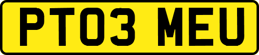 PT03MEU