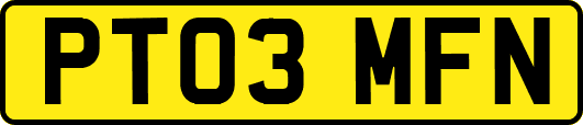 PT03MFN
