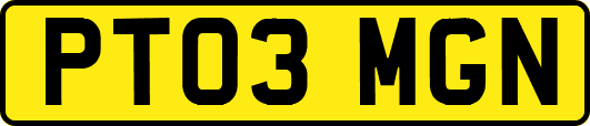 PT03MGN