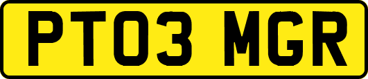 PT03MGR