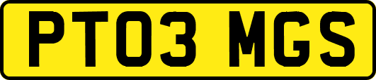 PT03MGS