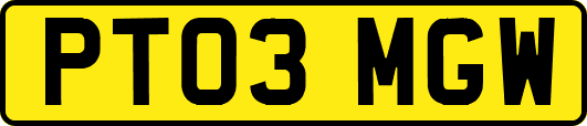 PT03MGW