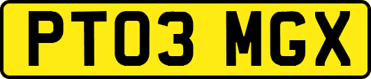 PT03MGX