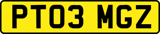 PT03MGZ