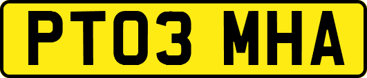PT03MHA