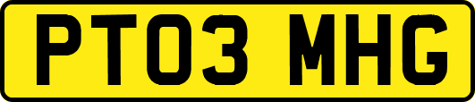 PT03MHG