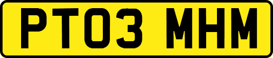 PT03MHM