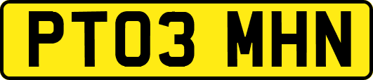PT03MHN
