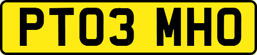 PT03MHO