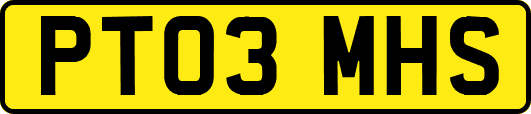 PT03MHS