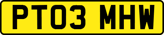 PT03MHW