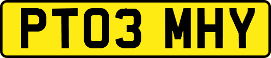 PT03MHY