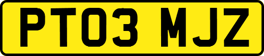 PT03MJZ