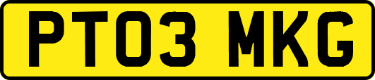 PT03MKG