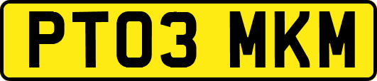 PT03MKM
