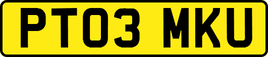PT03MKU