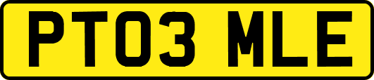 PT03MLE