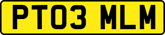 PT03MLM