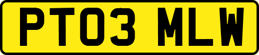 PT03MLW