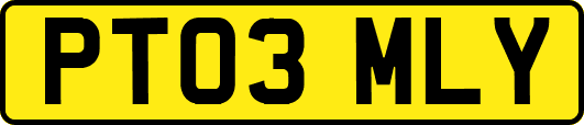 PT03MLY