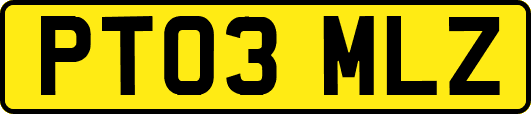 PT03MLZ