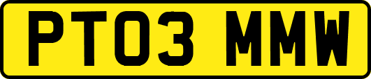 PT03MMW