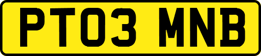 PT03MNB