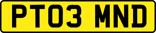PT03MND