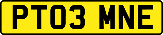 PT03MNE