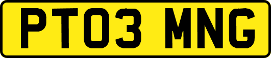 PT03MNG