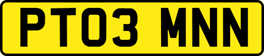 PT03MNN