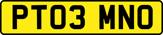 PT03MNO